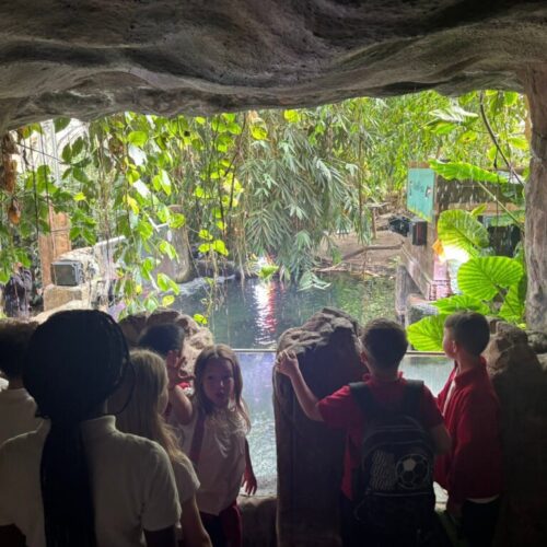 Tropical World 3